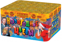 Новогодние цветы Фейерверк купить в Катайске | katajsk.salutsklad.ru