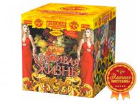 Красивая жизнь Фейерверк купить в Катайске | katajsk.salutsklad.ru