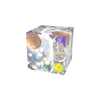 Новогодняя ночь Салют купить в Катайске | katajsk.salutsklad.ru