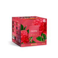 Пионы Салют купить в Катайске | katajsk.salutsklad.ru