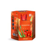 Тюльпаны Салют купить в Катайске | katajsk.salutsklad.ru