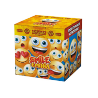 Смайл Фонтан пиротехнический купить в Катайске | katajsk.salutsklad.ru