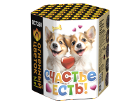 Счастье есть! Салют купить в Катайске | katajsk.salutsklad.ru