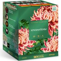 Хризантемы Фейерверк купить в Катайске | katajsk.salutsklad.ru