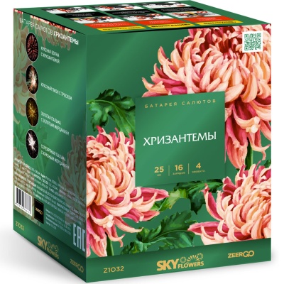Хризантемы Фейерверк купить в Катайске | katajsk.salutsklad.ru