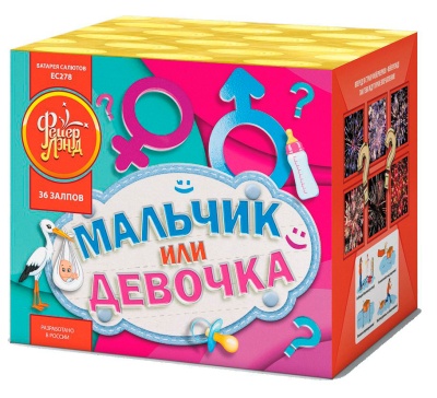 Мальчик или девочка М Фейерверк купить в Катайске | katajsk.salutsklad.ru